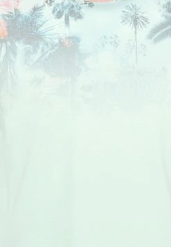 Indicode Jeans Palencia - T-Shirts Med Print - Pastel Green 6 Indicode Jeans Palencia - T-Shirts Med Print - Pastel Green -Indicode Jeans Salgsbutikk 86b308e6f526499285639aab36557cd3